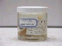 藏品(赤鯮)的圖片